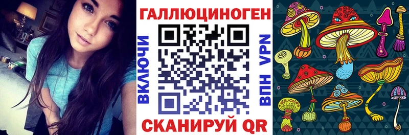 Псилоцибиновые грибы Psilocybe  где продают   Черепаново 